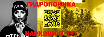 индика Балаково