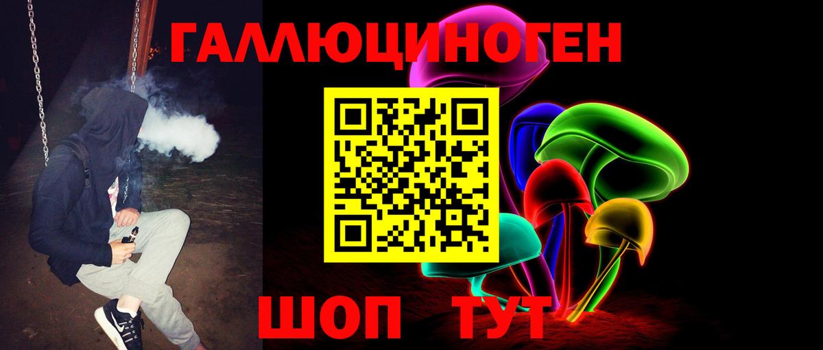 Домодедово  Псилоцибиновые грибы Psilocybine cubensis  Вход с VPN 